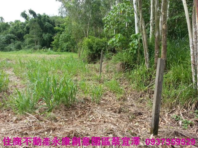 新化農地-8