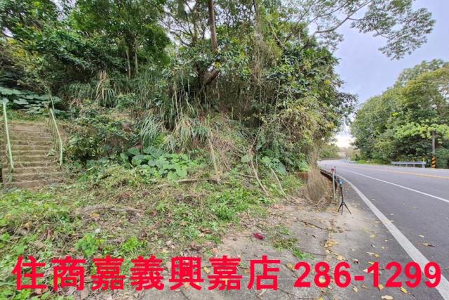 竹崎林地-8