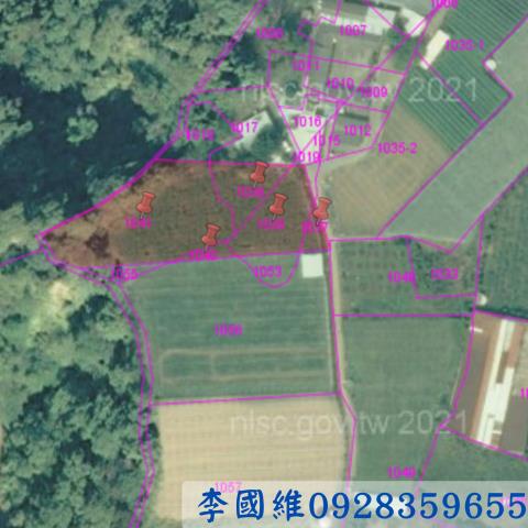 新社農地拍賣-3