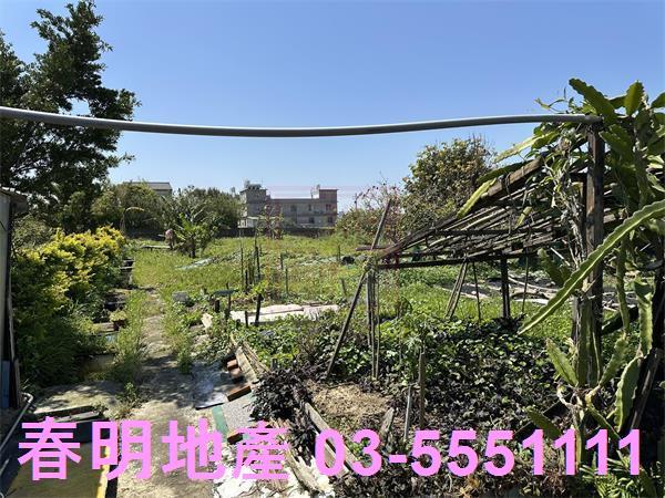 湖口農地-5