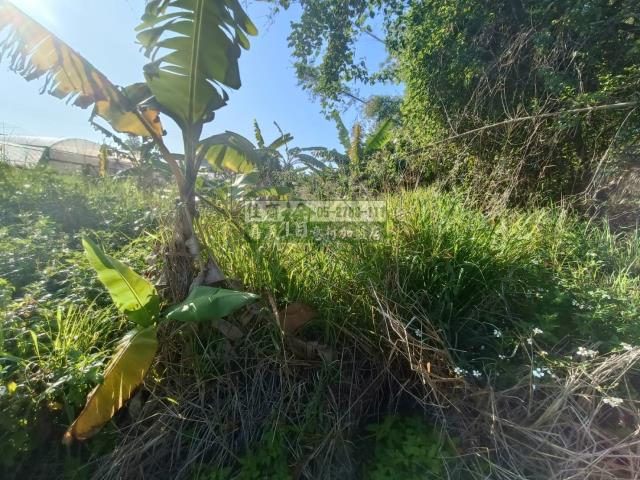 嘉義農地-5