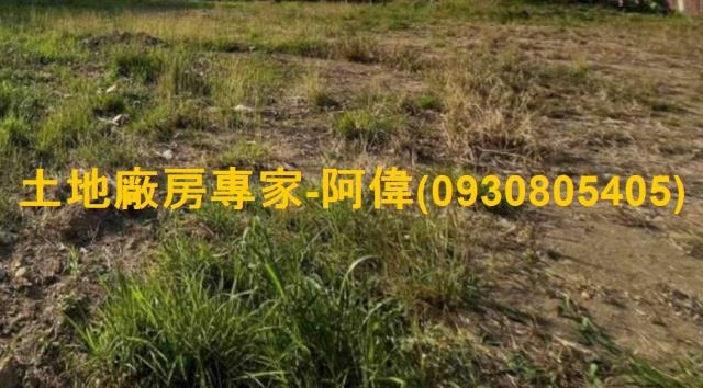高雄大寮農地-1