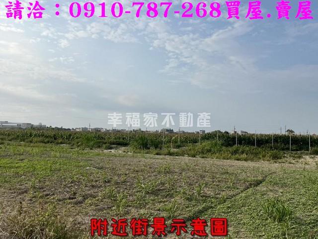 台南佳里農地-10