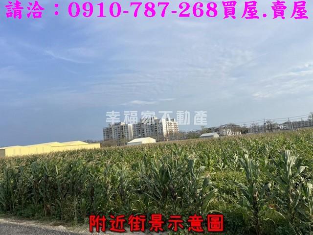 台南佳里農地-11