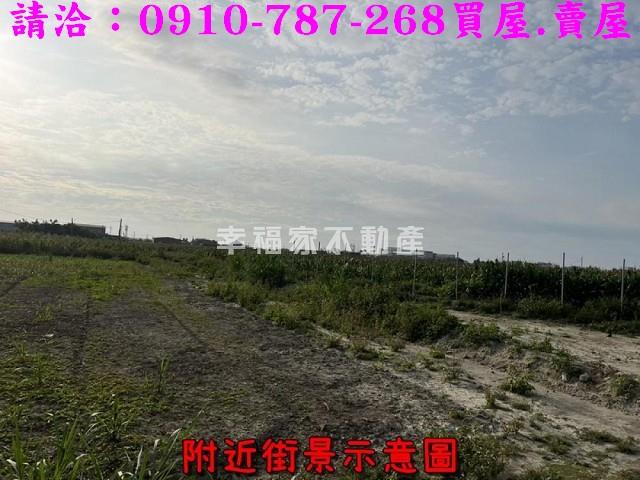 台南佳里農地-14