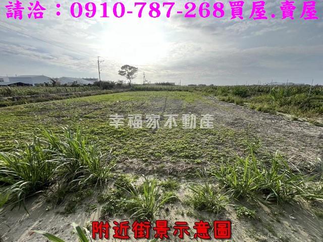 台南佳里農地-9