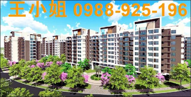 大園建地-2
