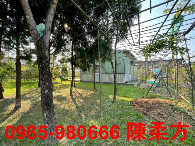 嘉義農地-9