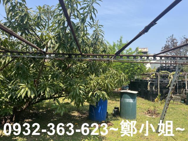 桃園八德農地-8