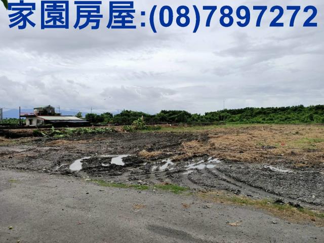 新埤農地-3