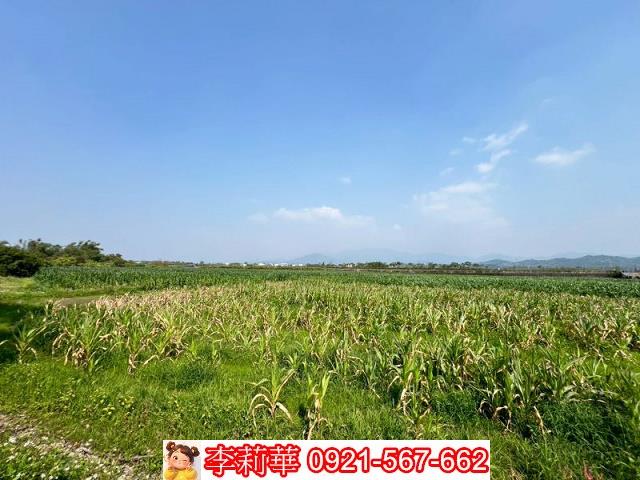 東山農地-11