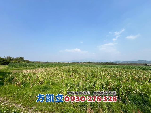 東山農地-11