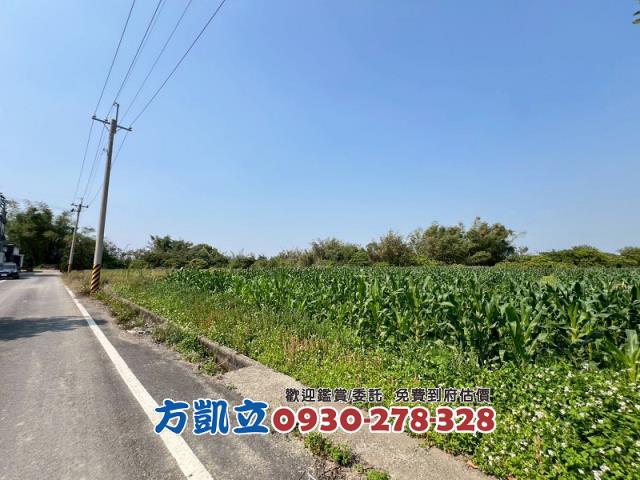 東山農地-2