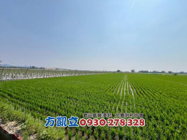 東山農地-3
