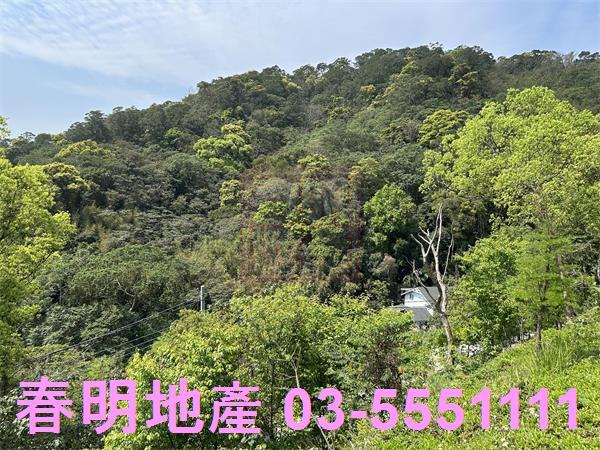 新竹關西林地-2