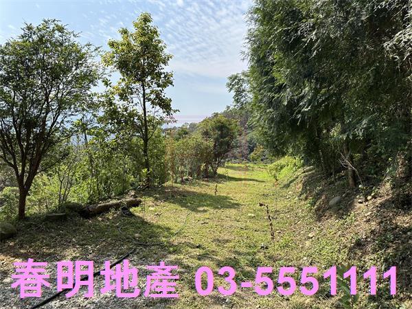 新竹關西林地-3