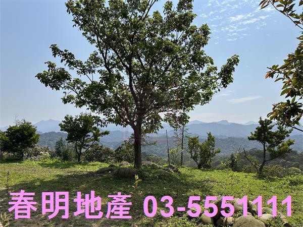 新竹關西林地-6