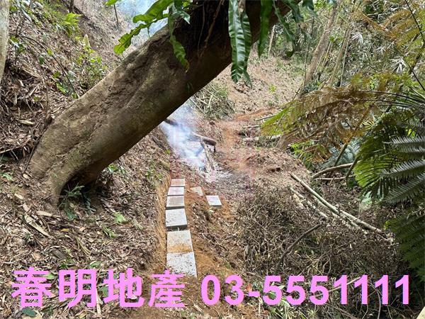 新竹關西農地-1