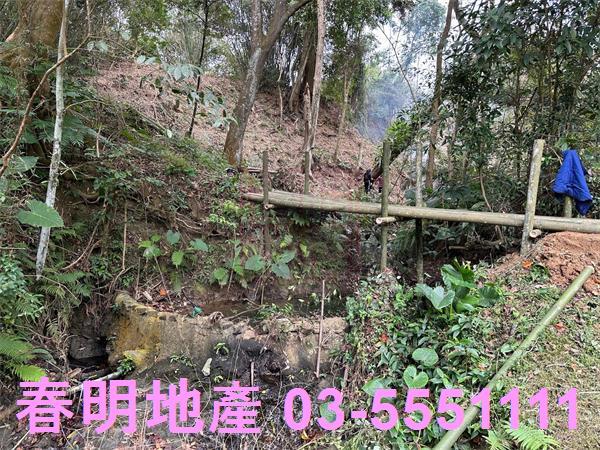 新竹關西農地-3