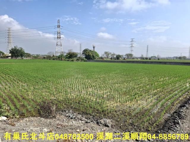 彰化埤頭農地-5
