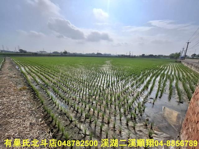 彰化埤頭農地-7