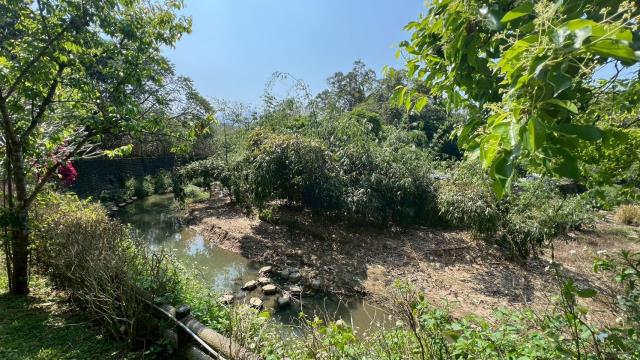 北埔農地-14