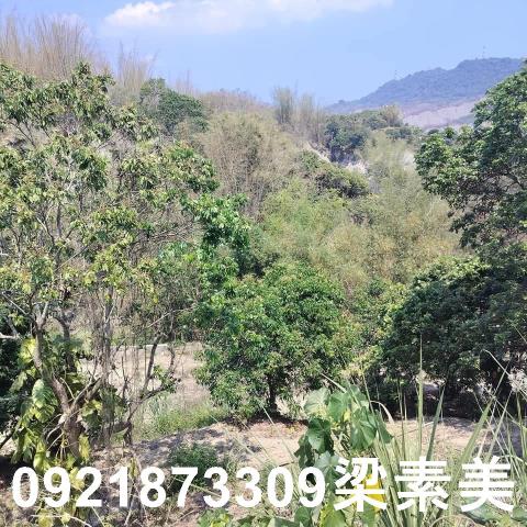 田寮農地-3