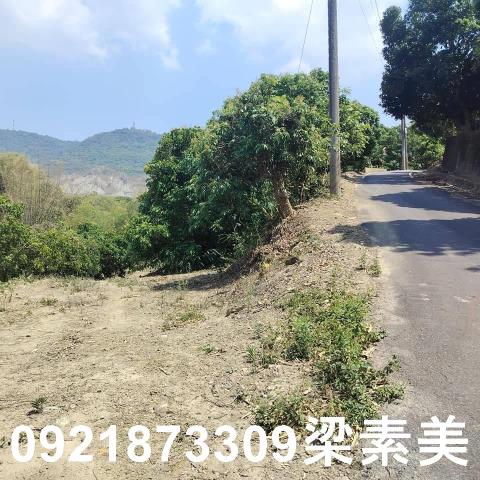 田寮農地-4