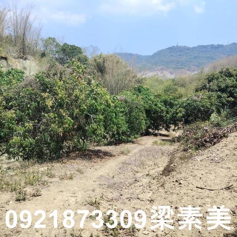 田寮農地-5