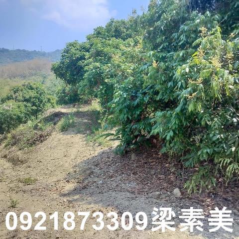田寮農地-6