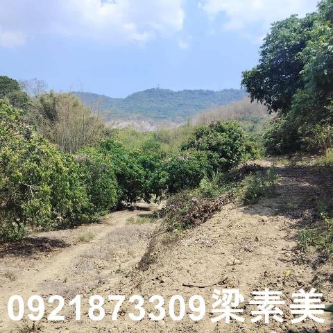 田寮農地-7