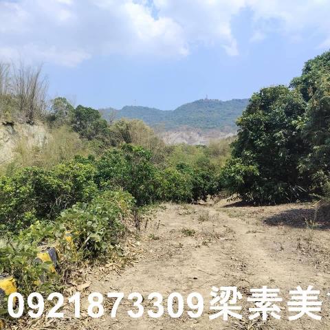 田寮農地-8
