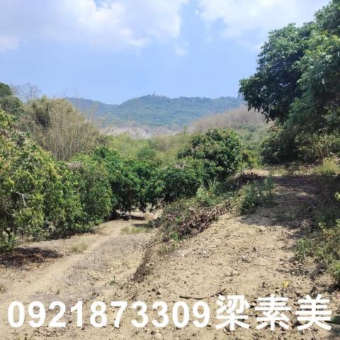田寮農地-9