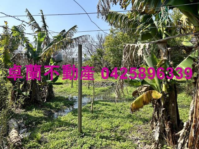 卓蘭農地-1
