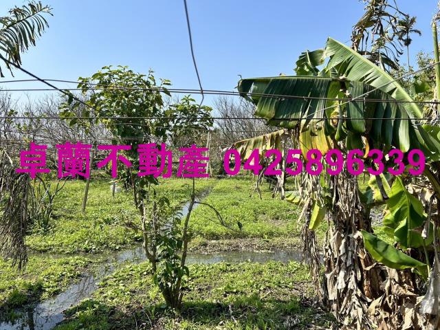 卓蘭農地-6
