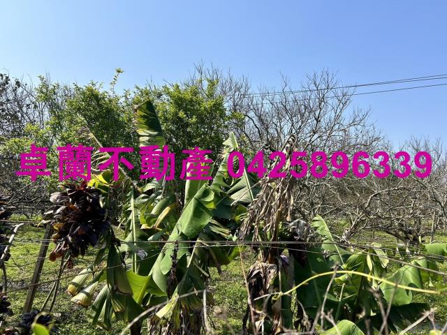 卓蘭農地-7