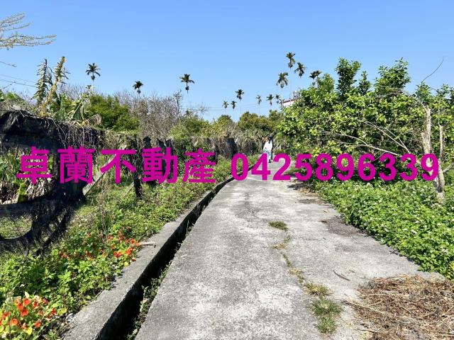 卓蘭農地-8