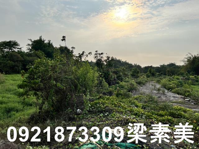柳營農地-12