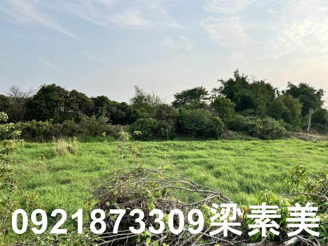 柳營農地-3