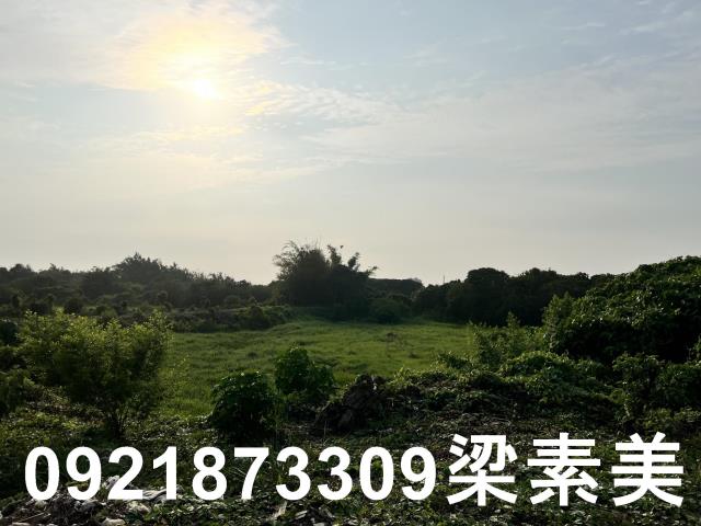 柳營農地-9