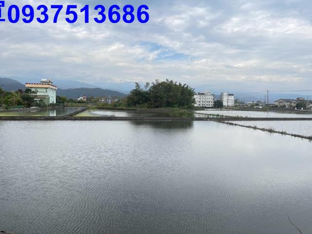 員山農地-6