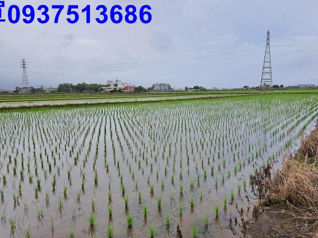 宜蘭農地-8