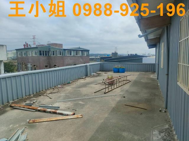 桃園建地-11