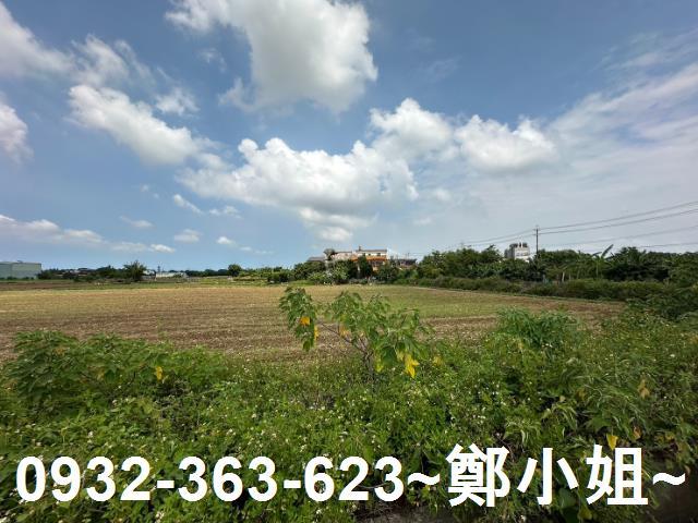 桃園楊梅農地-5