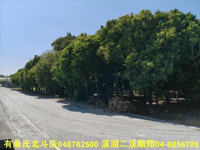 北斗農地-3