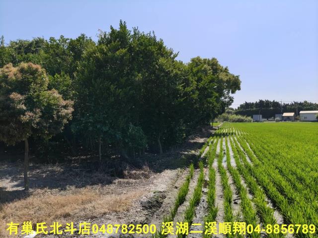 北斗農地-5