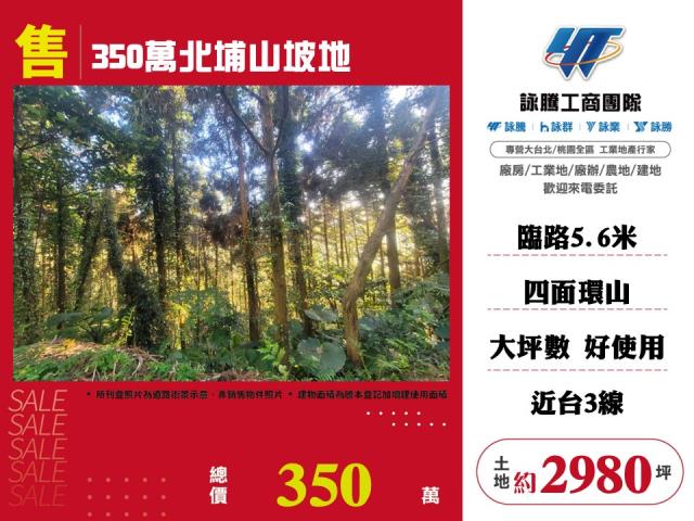 北埔山坡地-1