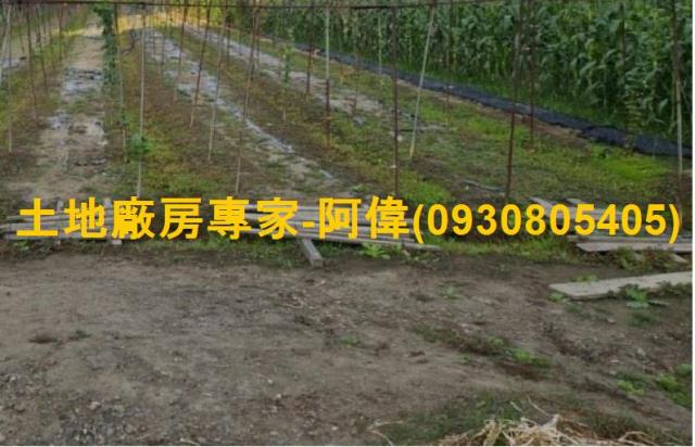 大寮農地-1