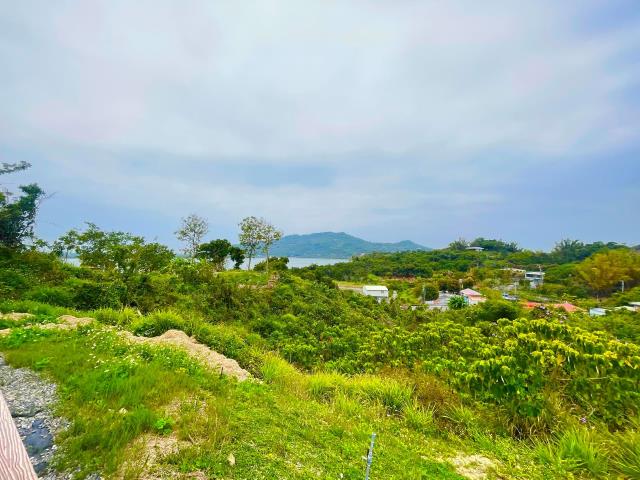 燕巢農地-10