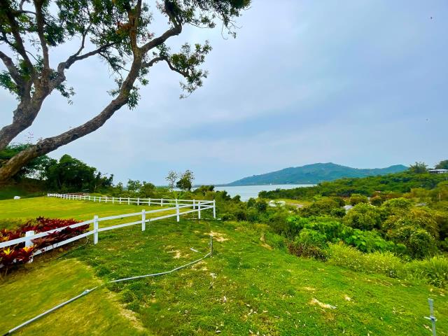 燕巢農地-2